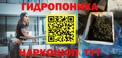 молекула духа Коммунар