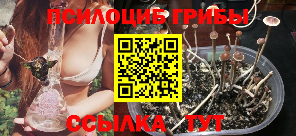 Коломна  Псилоцибиновые грибы прущие грибы  Галлюциногенные грибы Magic Shrooms  Вход с VPN 