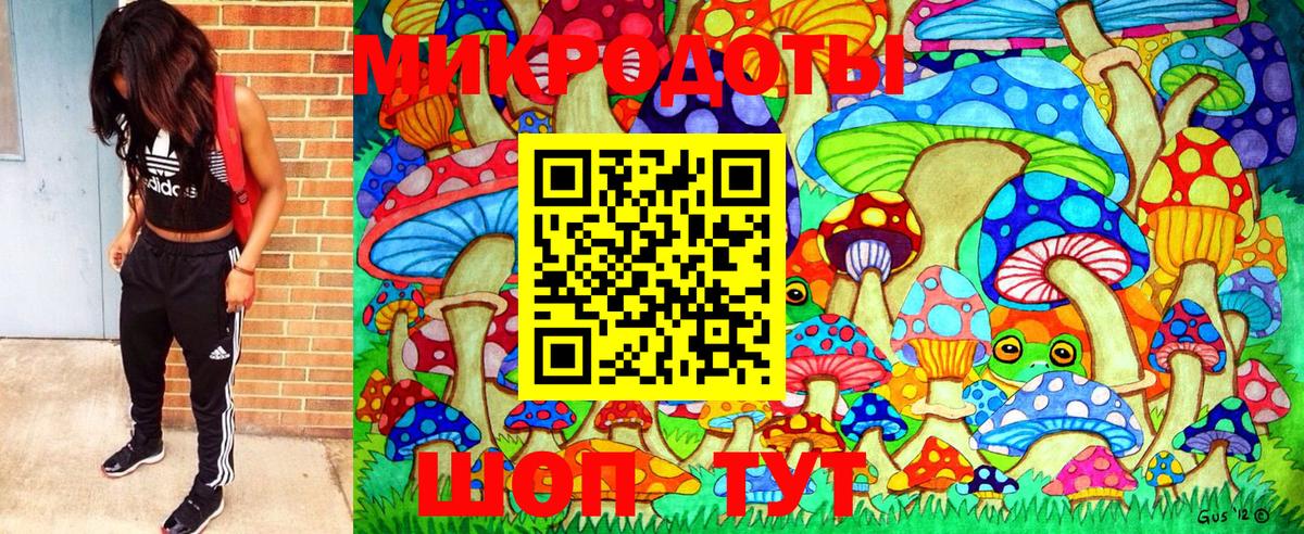 Галлюциногенные грибы прущие грибы Коломна